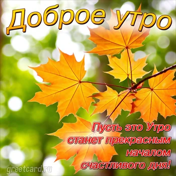 Открытки и картинки «Доброе утро!»