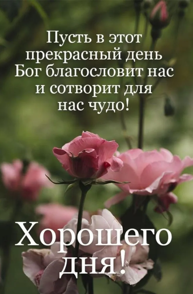 🌈💗🌈Доброго утра , благословенного дня